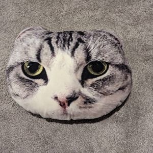 🤍Official Taylor Swift Meredith Pillow
